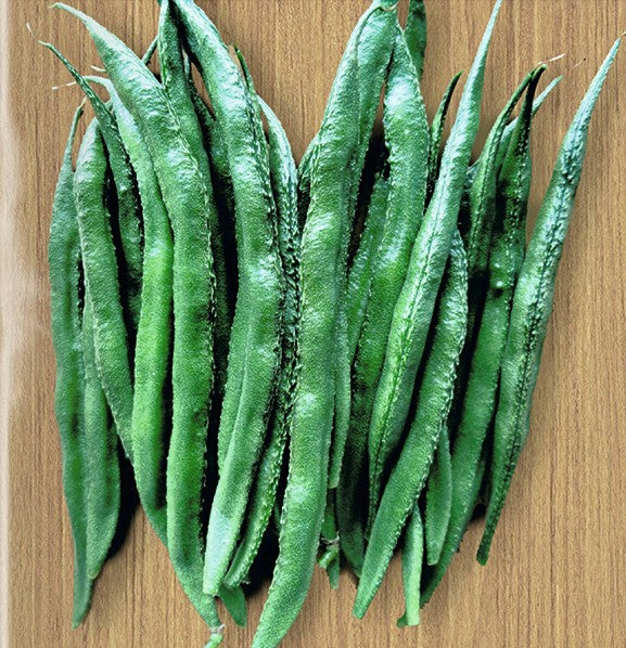 Gawar - Early, high-yielding pole bean with glossy green pods and excellent flavor!